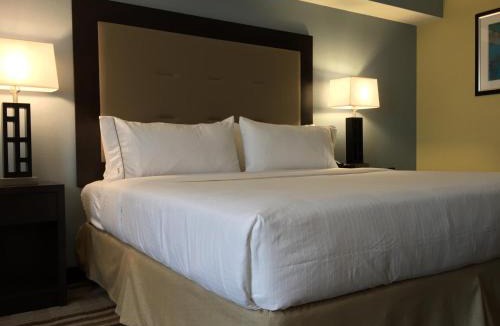Arlington Heights Hotel | Holiday Inn Express Chicago NW - Arlington Heights by IHG