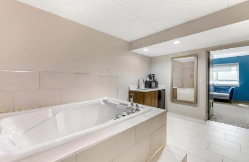 Downers Grove Hotel | Holiday Inn Express Chicago-Downers Grove by IHG