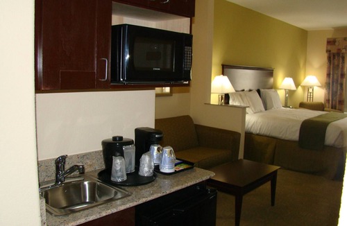 Tokio Hotel | Holiday Inn Express Hotel & Suites Brownfield by IHG