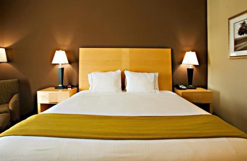 Borger Hotel | Holiday Inn Express Hotel and Suites Borger by IHG