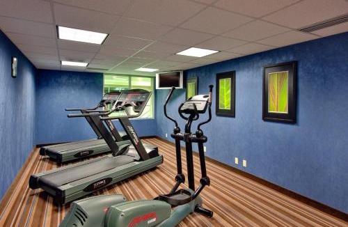 Chatham-Kent Hotel | Holiday Inn Express Hotel & Suites Chatham South by IHG