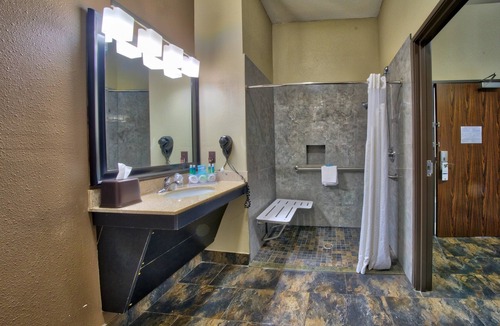 Lubbock Hotel | Holiday Inn Express Hotel & Suites Lubbock South by IHG