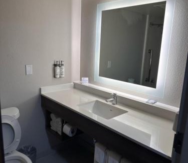 Mesquite Hotel | Holiday Inn Express Hotel and Suites Mesquite by IHG