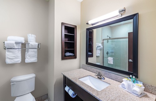 Floresville Hotel | Holiday Inn Express & Suites Floresville by IHG