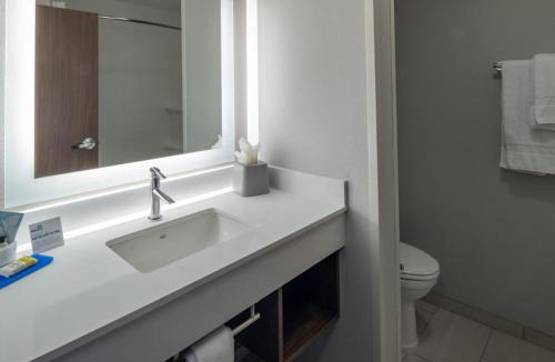 Downtown Little Rock Hotel | Holiday Inn Express & Suites - Little Rock Downtown by IHG