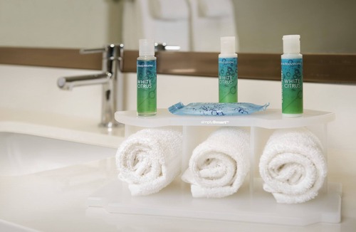 Bay City Hotel | Holiday Inn Express & Suites Bay City by IHG