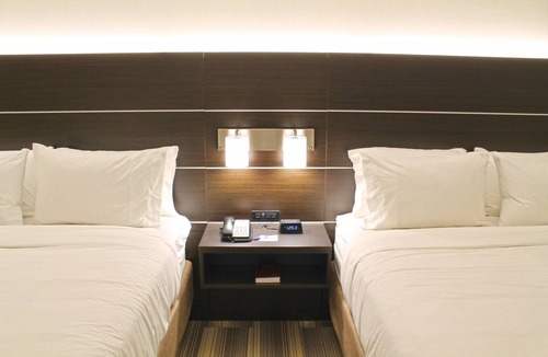 St. Louis Hotel | Holiday Inn Express & Suites St. Louis South - I-55 by IHG