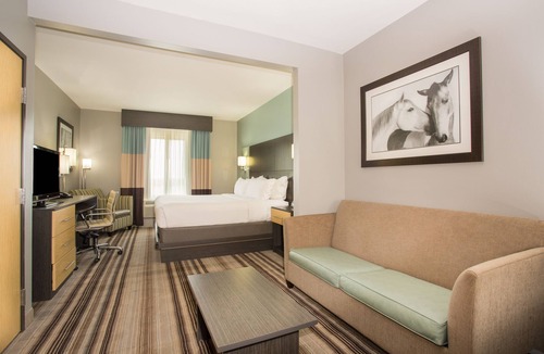 Soncy Hotel | Holiday Inn Express & Suites Amarillo West by IHG