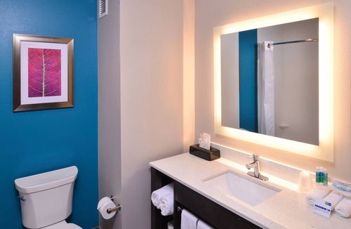 Bryant Hotel | Holiday Inn Express & Suites Bryant - Benton Area by IHG