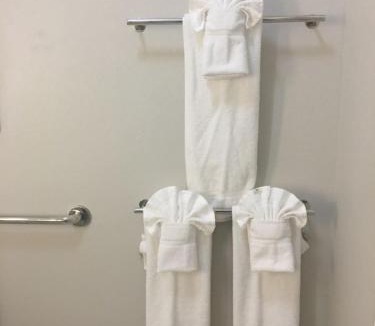 Brenham Hotel | Holiday Inn Express & Suites Brenham South by IHG