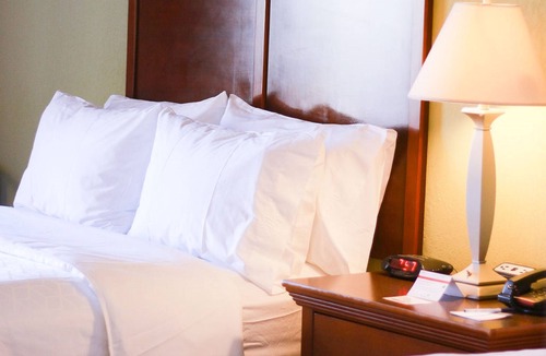 Center Hotel | Holiday Inn Express & Suites Center by IHG