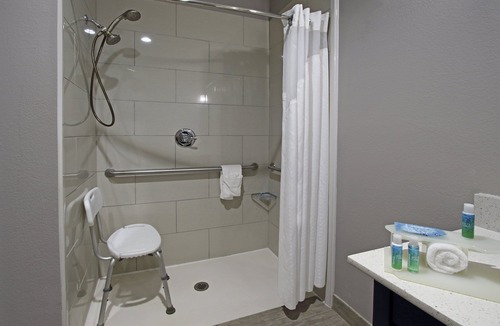 Greater Greenspoint Hotel | Holiday Inn Express & Suites Houston North - IAH Area by IHG