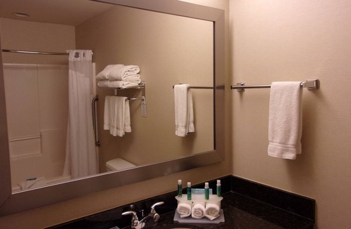 Roselle Hotel | Holiday Inn Express & Suites Chicago West-Roselle by IHG