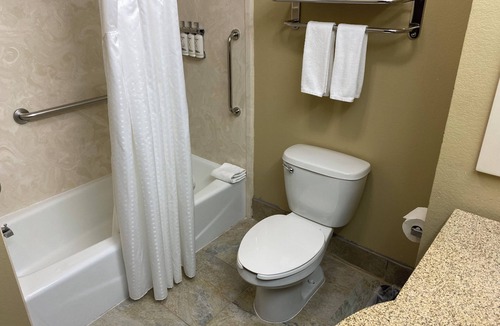 Ira Hotel | Holiday Inn Express &Suites Snyder by IHG