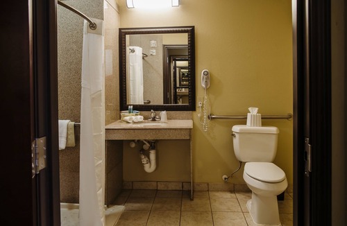 Waller Hotel | Holiday Inn Express & Suites Waller - Prairie View by IHG