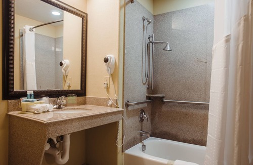 Waller Hotel | Holiday Inn Express & Suites Waller - Prairie View by IHG