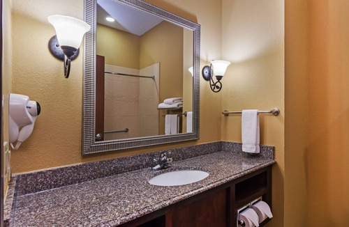 Calallen Hotel | Holiday Inn Express & Suites Corpus Christi NW - Calallen by IHG