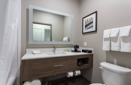 San Marcos Hotel | Holiday Inn San Marcos-Convention CTR Area by IHG