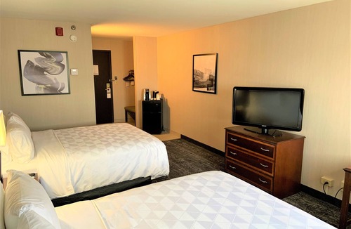 Carol Stream Hotel | Holiday Inn & Suites Chicago-Carol Stream (Wheaton) by IHG
