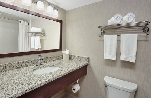 Carol Stream Hotel | Holiday Inn & Suites Chicago-Carol Stream (Wheaton) by IHG