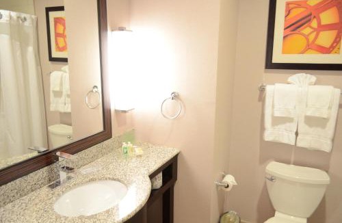Barker Hotel | Holiday Inn & Suites Houston West - Westway Park by IHG