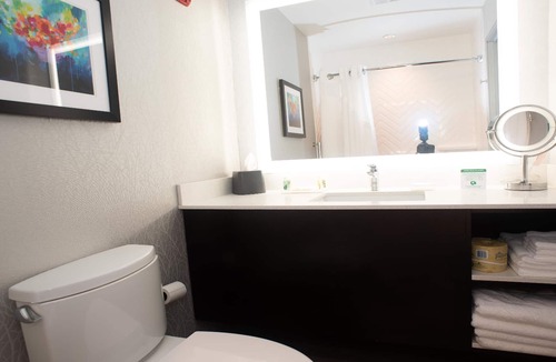 Joliet Hotel | Holiday Inn & Suites - Joliet Southwest by IHG