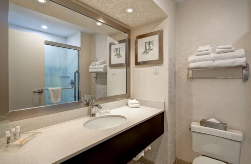 Windsor Hotel | Holiday Inn & Suites Windsor Ambassador Bridge by IHG