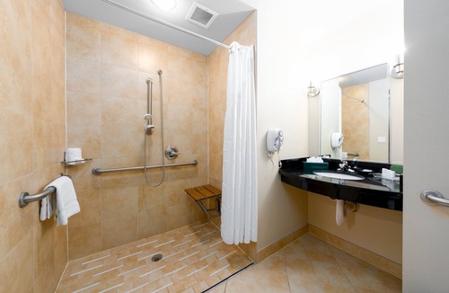 Temple Hotel | Holiday Inn Temple-Belton by IHG