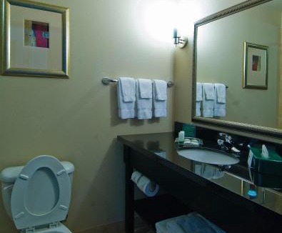 Temple Hotel | Holiday Inn Temple - Belton by IHG