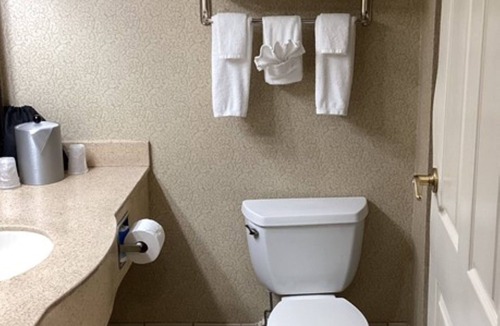 Vicksburg Hotel | Holiday Inn Vicksburg by IHG