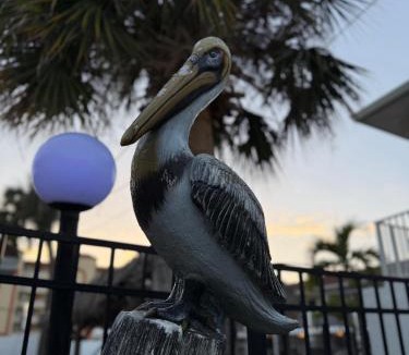 Madeira Beach Hotel | Holiday Isles Resort