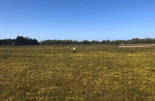 Haslevgarde House | Holiday on magical nature plot for families