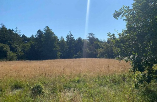 Haslevgarde House | Holiday on magical nature plot for families