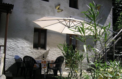 Coglio Apartment | Holiday wall fox
