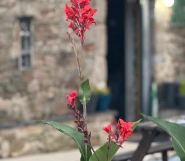 Nicorps House | Holidays-Normandy - Ursula gîte