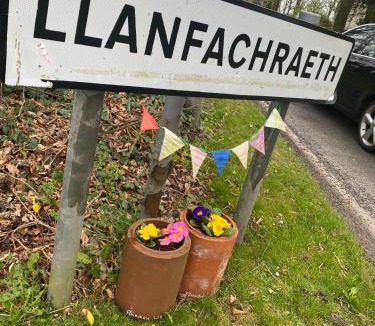 Llanfachraeth Hotel | Holland Hotel