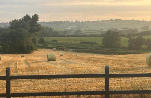 Scarva Apartment | Hollowdene