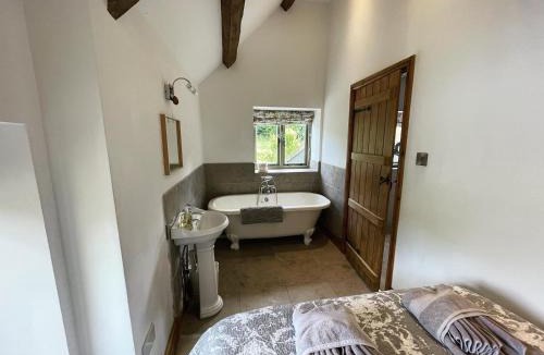 Witney House | Hollyhock House