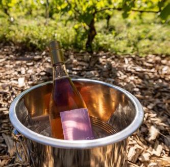 Dannemare Other | Holmegaard vin og glamping