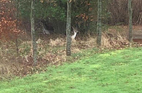 Aeroskobing Bed & Breakfast | Holmegaarden B & B-K