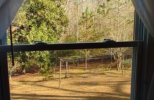 Toccoa House | Home away from Home. Pet friendly.