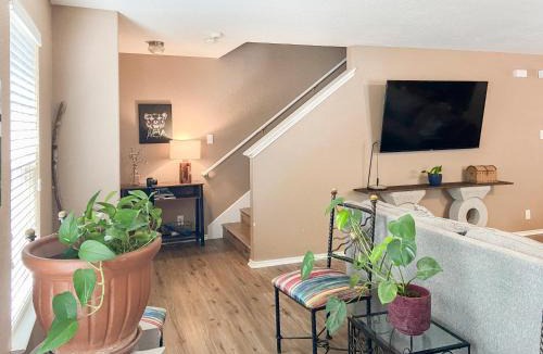 San Antonio House | home away from home