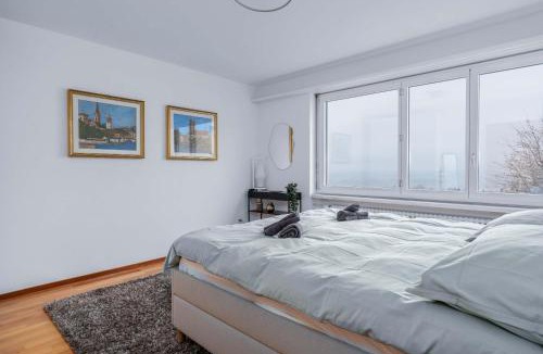 Uster District Apartment | Home Cinema Apartment with Beamer and Netflix - Free Parking
