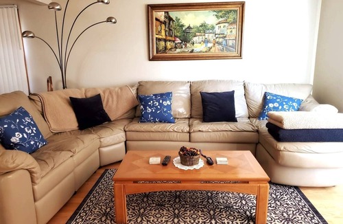 Palos Hills Condo | ~Home Comforts, Roku SmartTV, Fast WiFi~