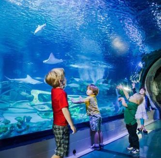 Torcy-le-Grand Apartment | Home Disney Torcy