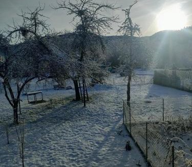 Fresse House | home edwige