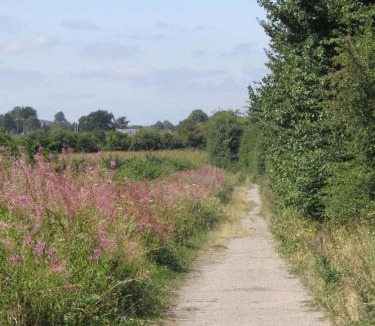 Bishopstrow Bed & Breakfast | Home Farm Boreham