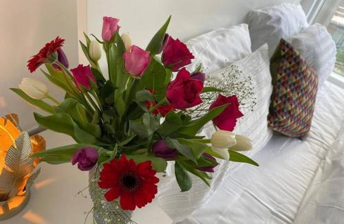 Chatham Apartment | Home from Home