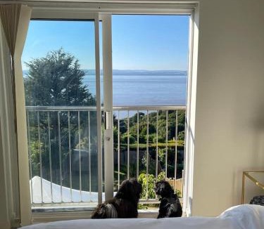 Portishead House | Home