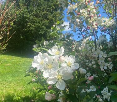 Champagnac-la-Riviere House | Home in Champagnac La Riviere with shared pool